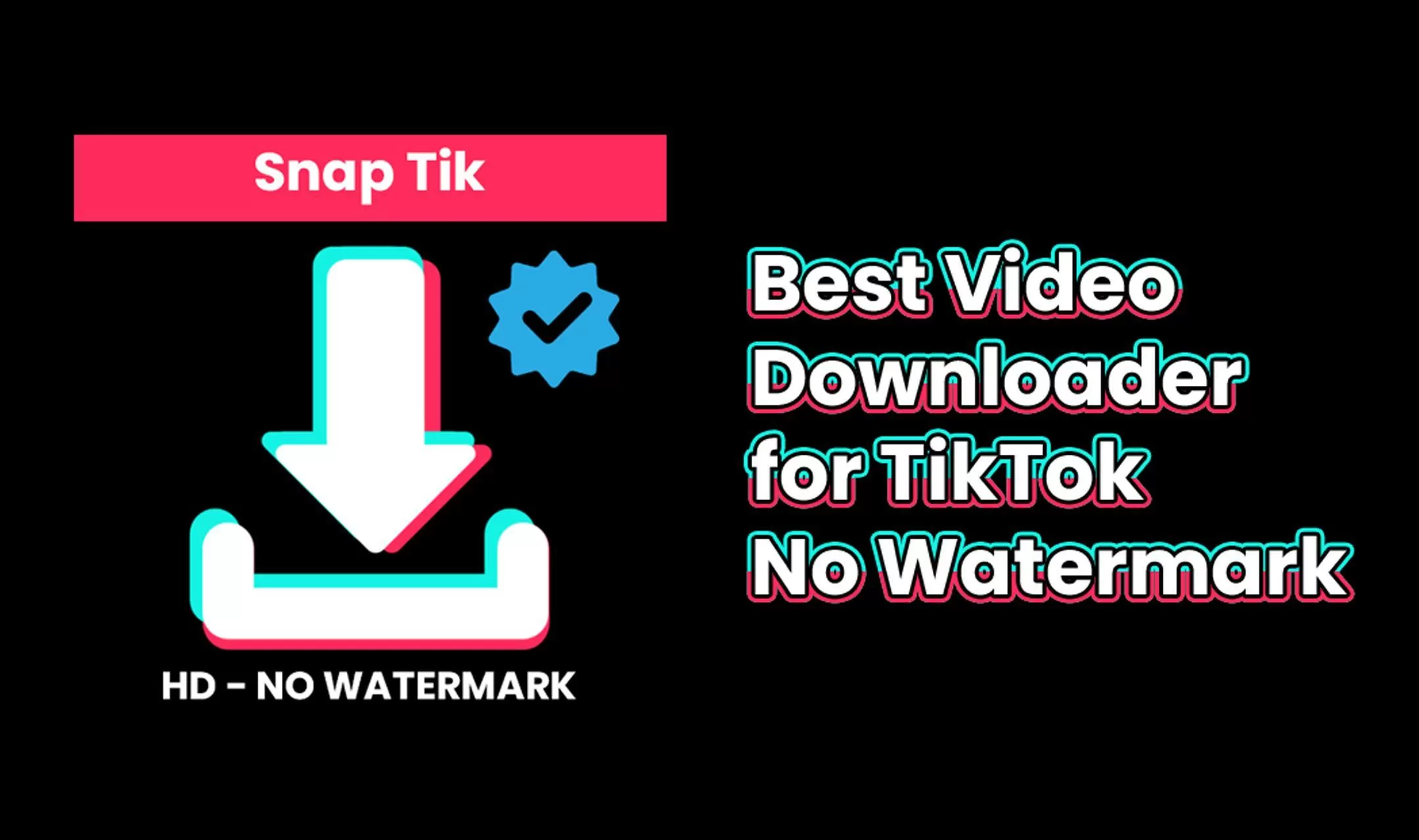 Kelebihan Snaptik, Aplikasi Unduh Video TikTok Tanpa Watermark ...