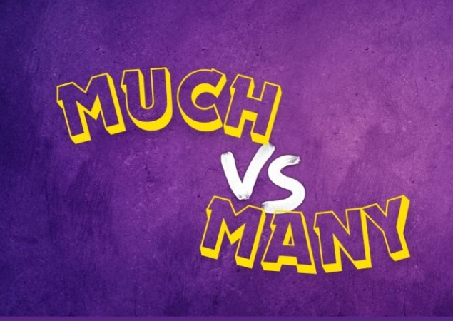 Antara ‘Much’ dan ‘Many’ Kesalahan Umum Saat Menggunakan Quantifiers dan Cara Menghindarinya Bersama EF EFEKTA English for Adults